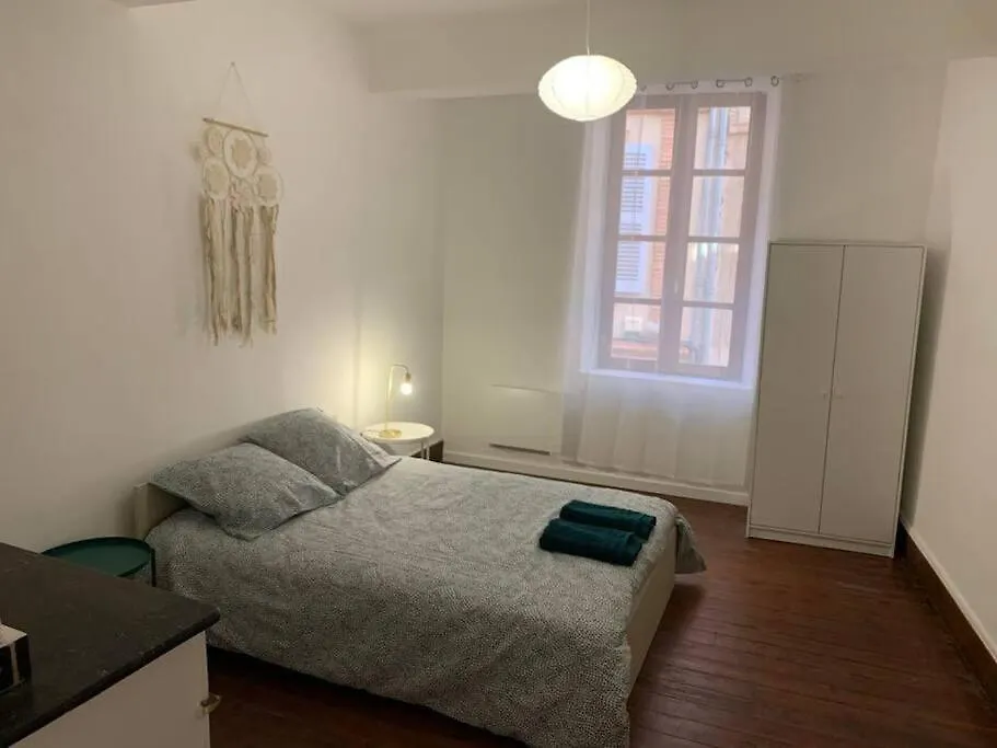 Apartamento Spacieux T3 Hypercentre Proche Cathedrale Albi
