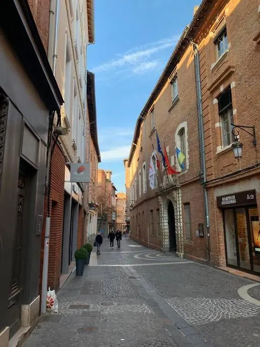 Apartamento Spacieux T3 Hypercentre Proche Cathedrale Albi Francia
